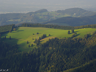 Wandern im Schwarzwald